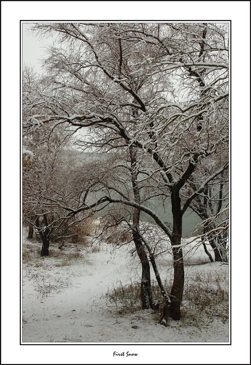 photo "First Snow" tags: misc., landscape, autumn