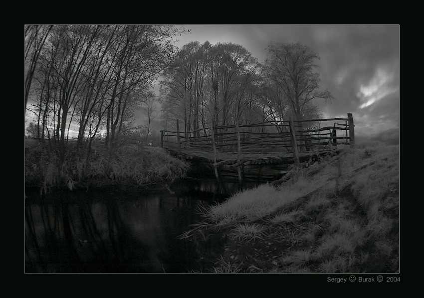 photo "The rural bridge" tags: landscape, black&white, forest