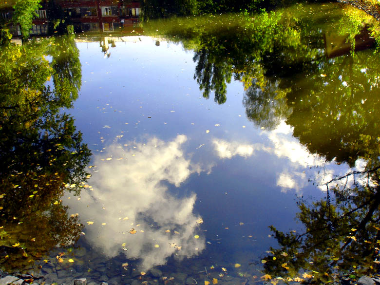 photo "In city lake" tags: landscape, autumn, water