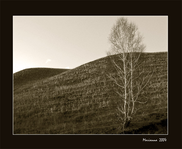 photo "Solitude" tags: landscape, black&white, autumn