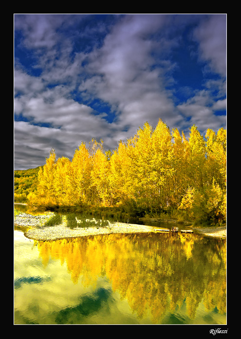 photo "Riflessi" tags: landscape, water