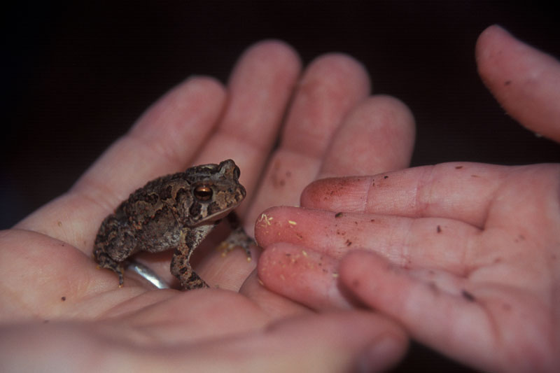 photo "Lukes First pet!" tags: nature, misc., wild animals