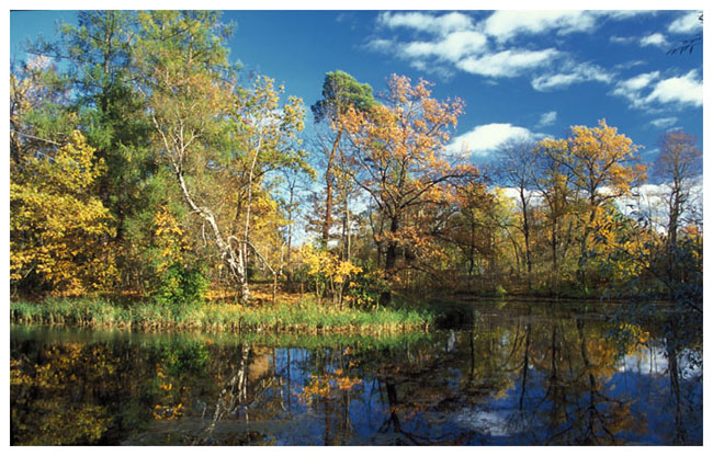 photo "****" tags: landscape, autumn, water