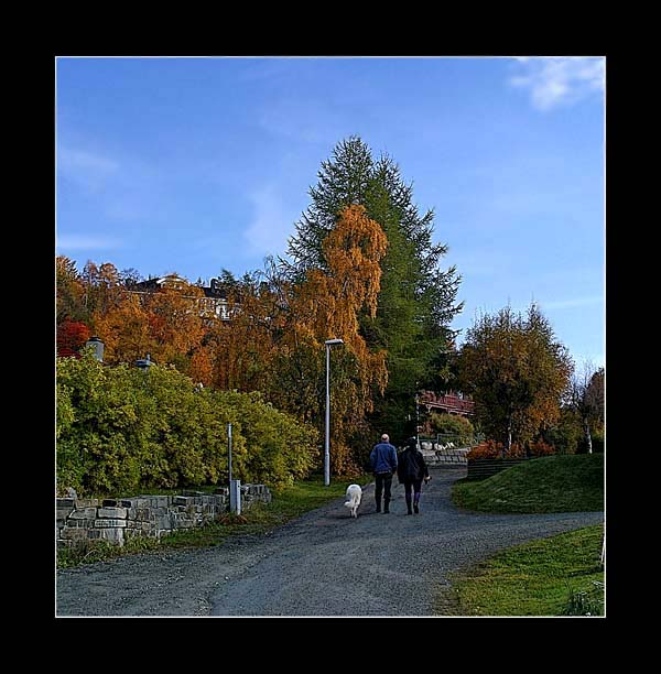 photo "Fall etude N1" tags: landscape, genre, autumn