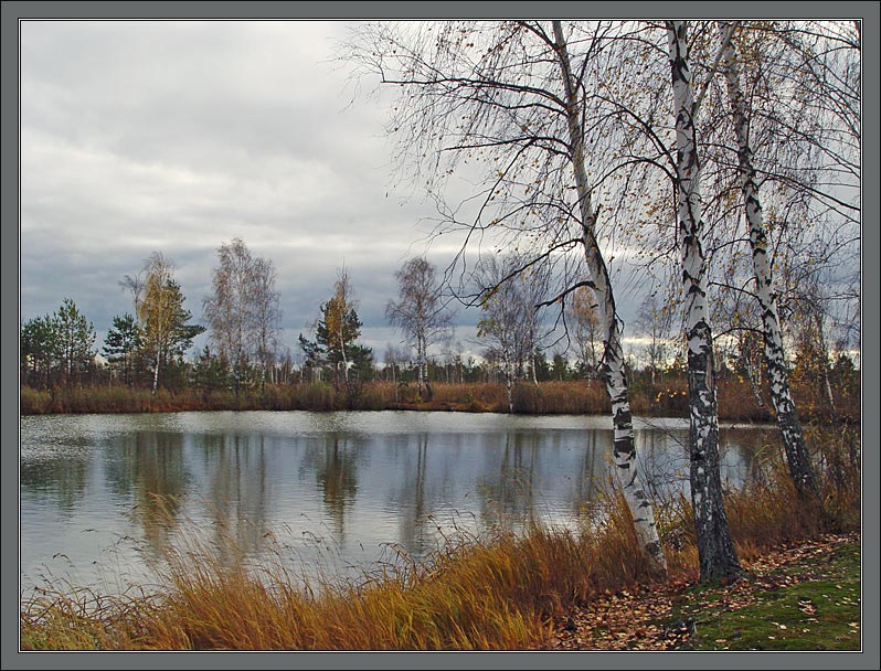 фото "Октябрьская болотная картинка" метки: пейзаж, осень