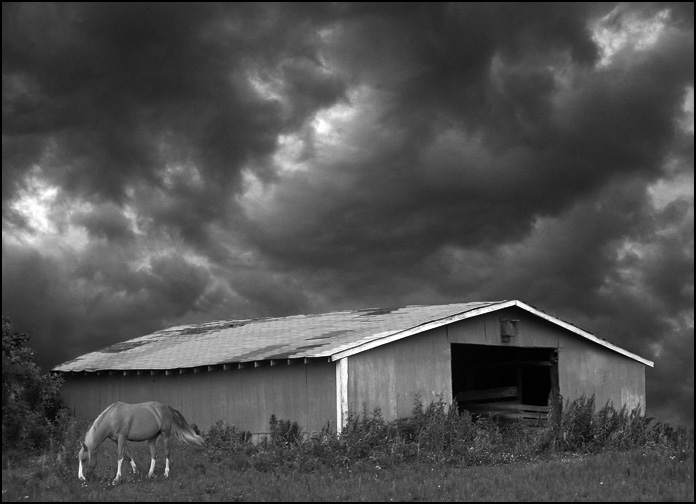 photo "Storm Warning" tags: black&white, genre, 