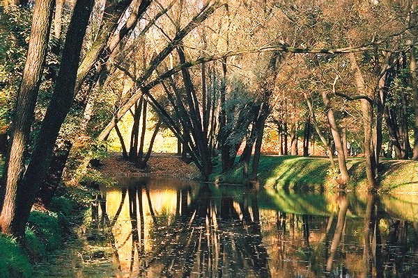 photo "Autumn geometry" tags: landscape, autumn, water