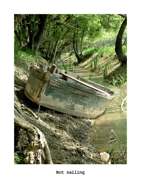 фото "not sailing" метки: пейзаж, лес