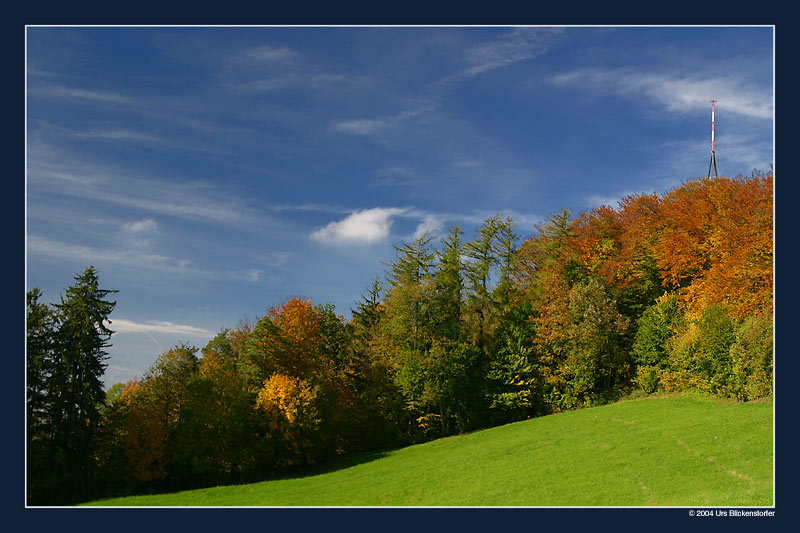 photo "Indian Summer" tags: landscape, autumn, forest