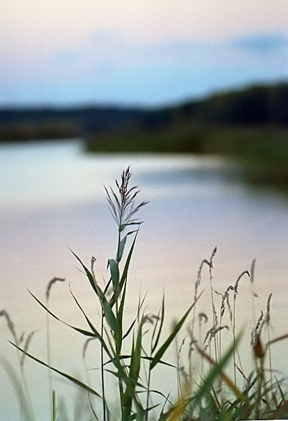 photo "Evening fall sketch" tags: landscape, sunset