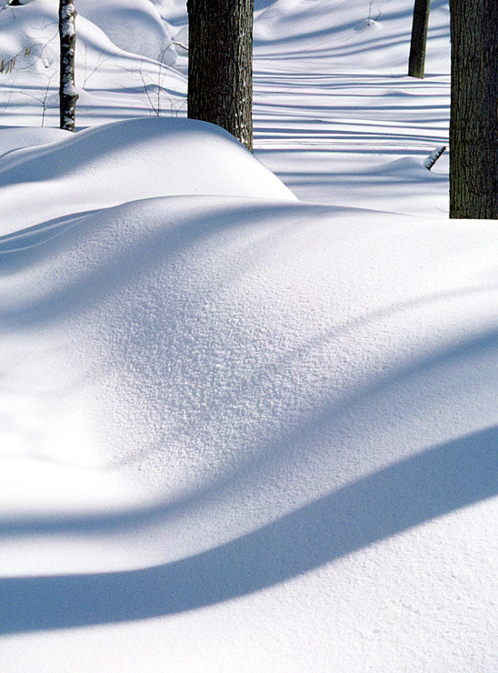 photo "Snow and shadow (1)" tags: landscape, forest, winter
