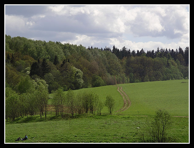 photo "road ..." tags: landscape, summer