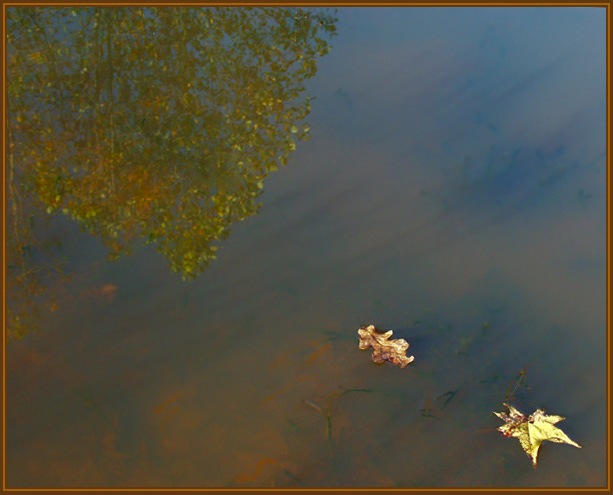 photo "Leaving" tags: landscape, autumn, water