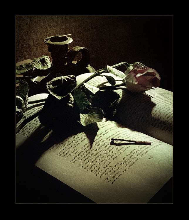 photo "Flower and the book" tags: still life, 