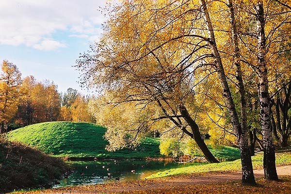 photo "Joyful" tags: landscape, autumn, forest