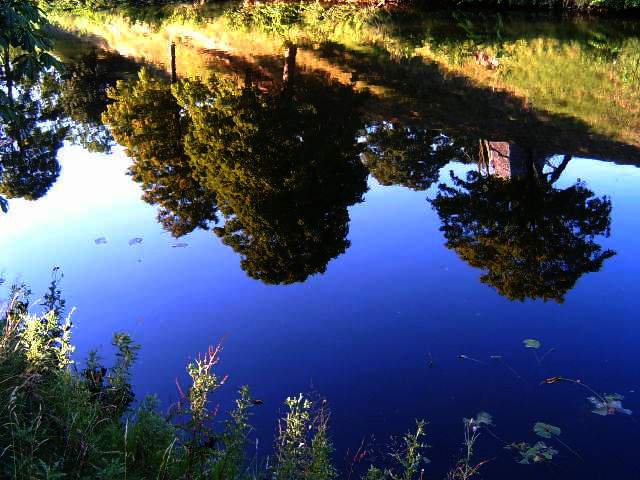 photo "Reflection." tags: nature, 