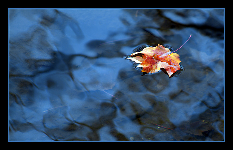 photo "When Fall Arrives" tags: landscape, autumn, water