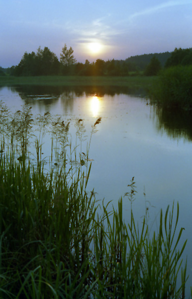 photo "Evening" tags: landscape, sunset