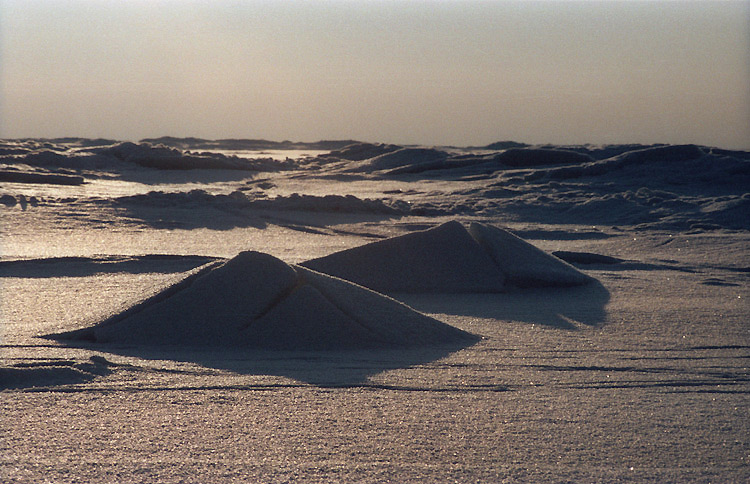 photo "Snow desert" tags: landscape, winter
