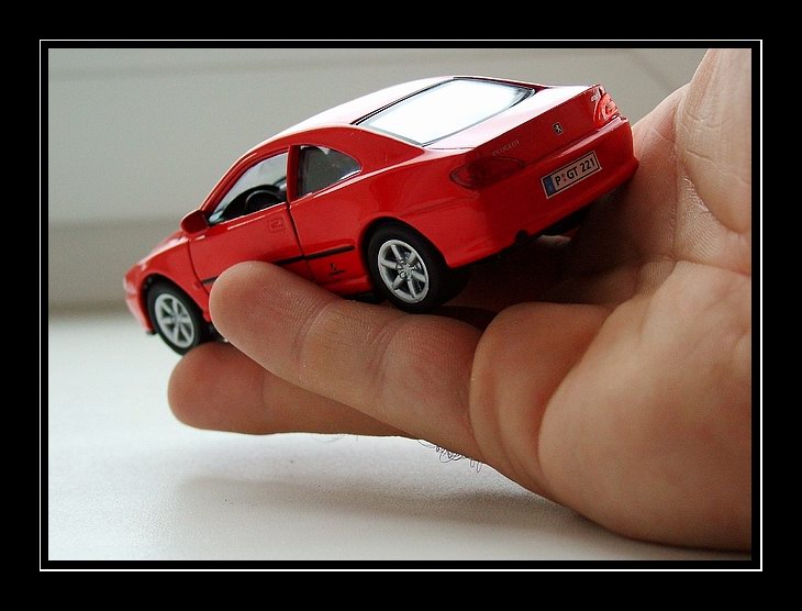 photo "All in our hands..." tags: macro and close-up, genre, 