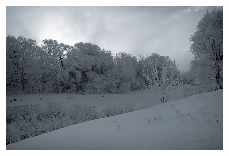 photo "Winter silence" tags: landscape, sunset, winter