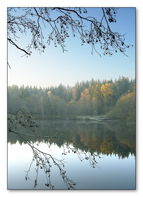 photo "About water and forest" tags: landscape, montage, autumn