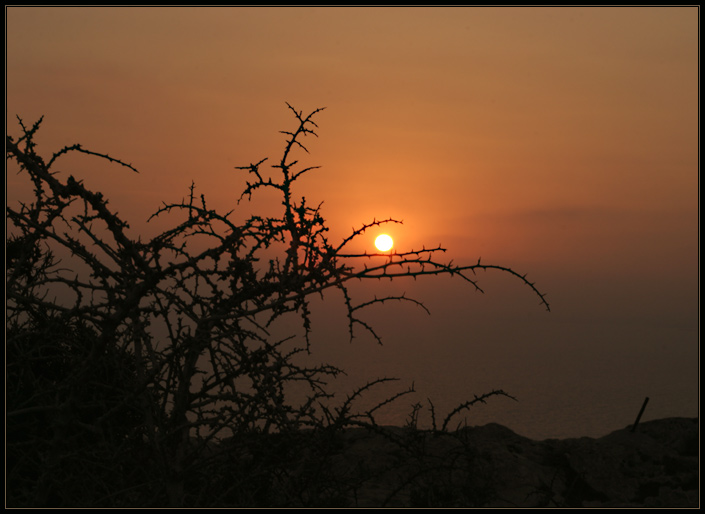 photo "chimeras of night" tags: landscape, travel, Europe, sunset