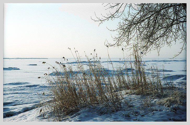 фото "Просторы Финского залива" метки: пейзаж, зима