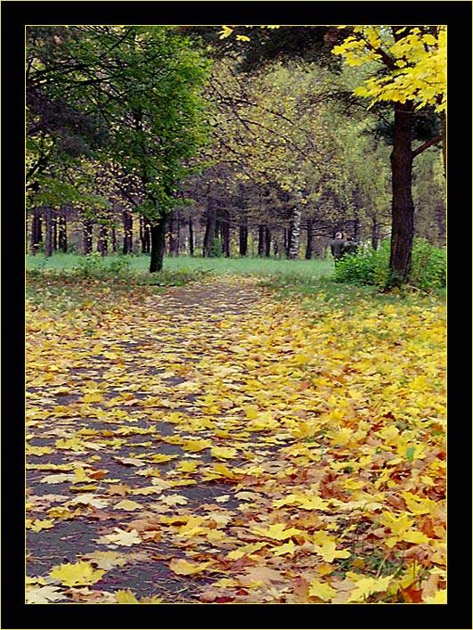 photo "***" tags: landscape, autumn