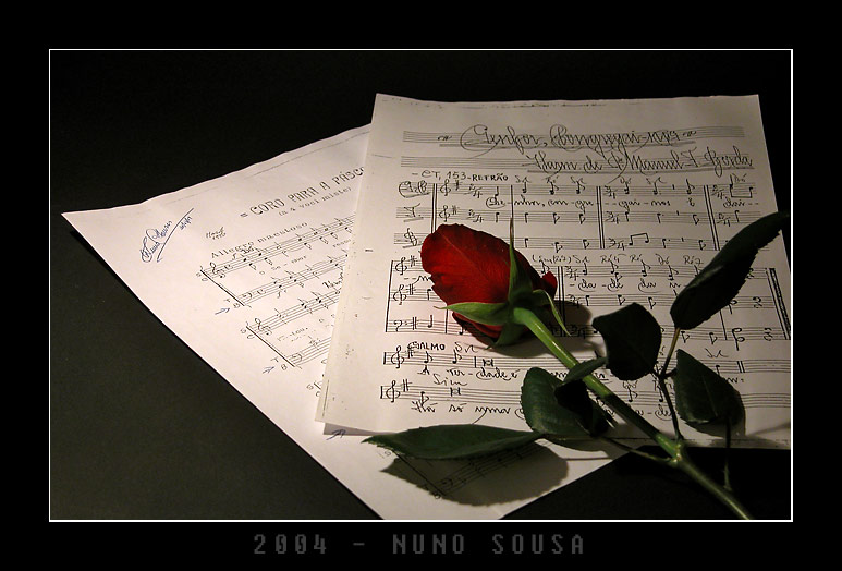 photo "music..." tags: macro and close-up, 