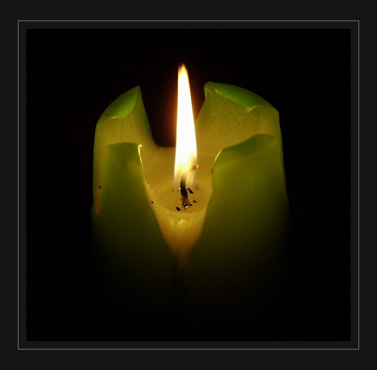 photo "La Noche..." tags: macro and close-up, genre, 