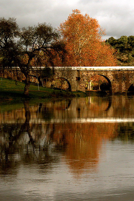 photo "soft light" tags: landscape, autumn, water