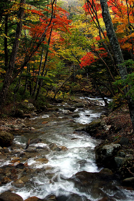 photo "Watercolors" tags: landscape, autumn, water