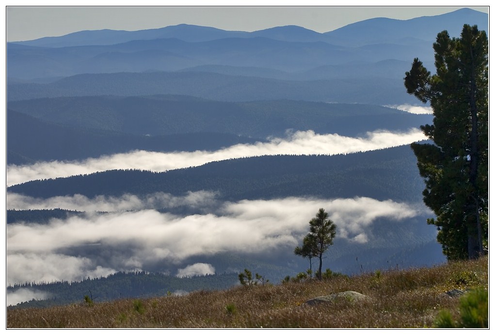 photo "over fog" tags: landscape, mountains, sunset