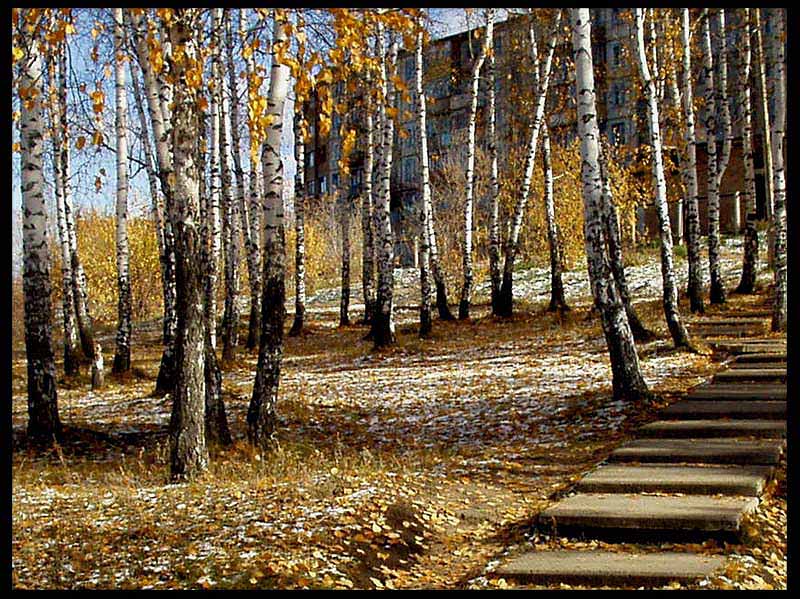 фото "Первый снег" метки: пейзаж, ночь, осень