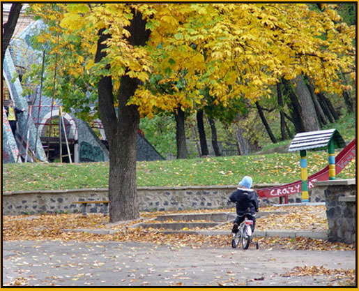 фото "осень#3" метки: жанр, 