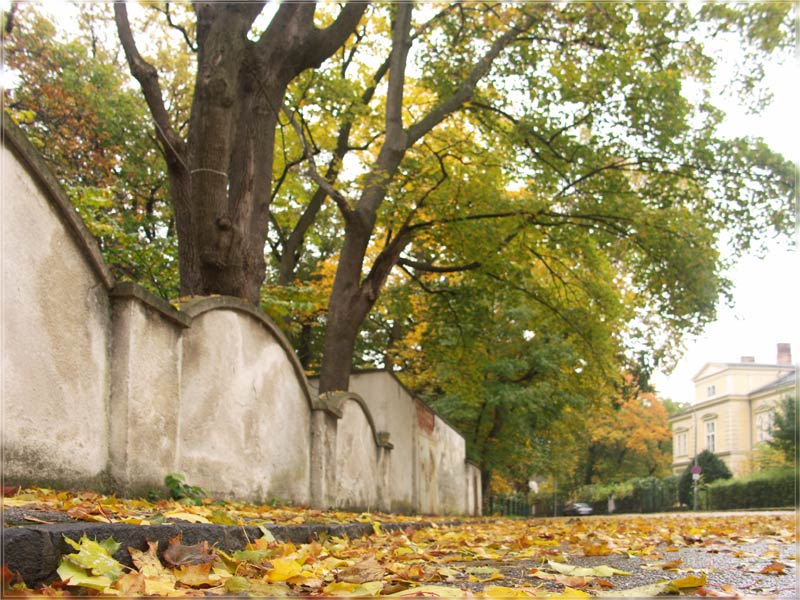 photo "Autumn street" tags: misc., architecture, landscape, 