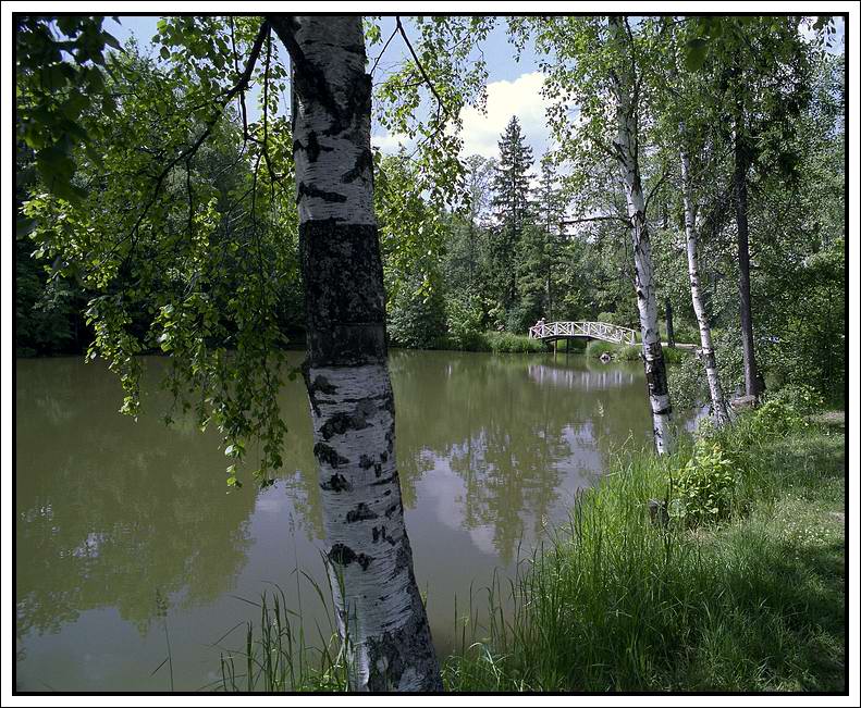 фото "в усадьбе Абрамцево..." метки: пейзаж, вода, лес