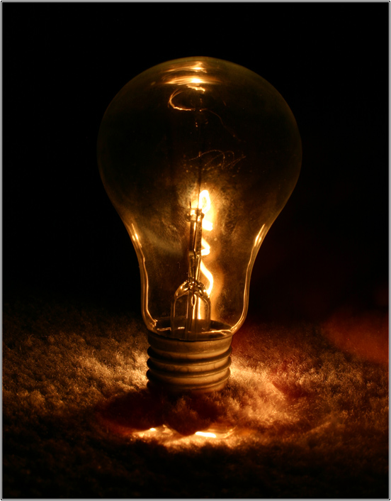 photo "- a bulb -" tags: misc., 