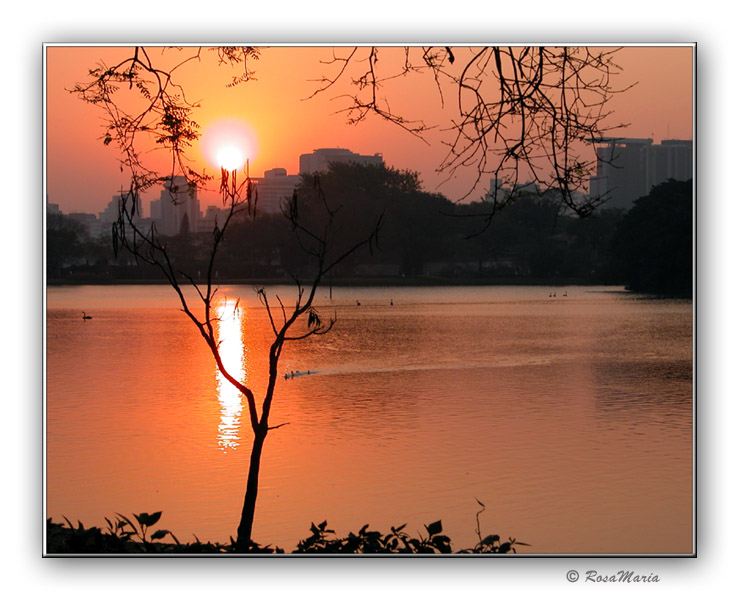 photo "Dried Branch and Sunset" tags: travel, landscape, South America, sunset