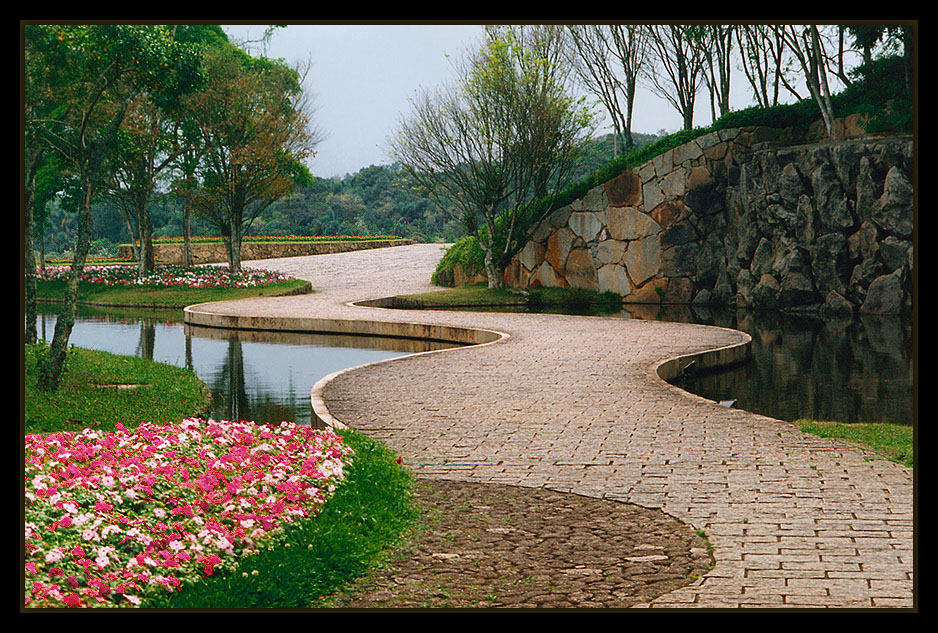 photo "***" tags: nature, landscape, flowers