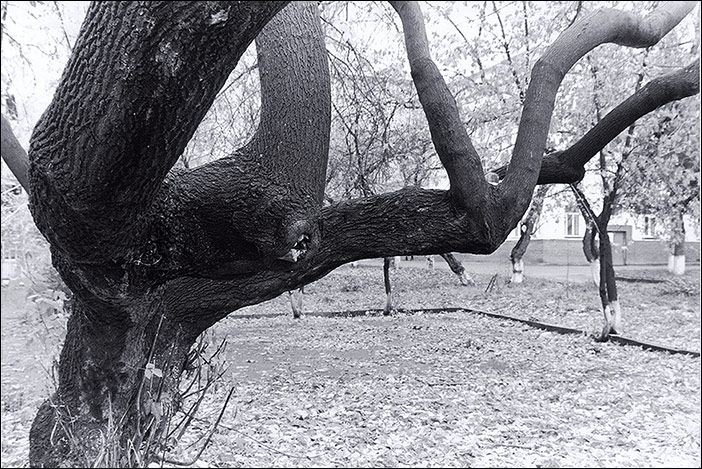 photo "Strange signs" tags: black&white, 