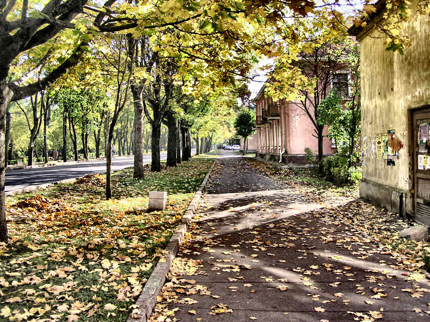 фото "нас утро встречает прохладой" метки: разное, 