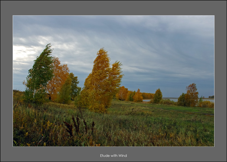 photo "Etude with Wind" tags: misc., landscape, autumn