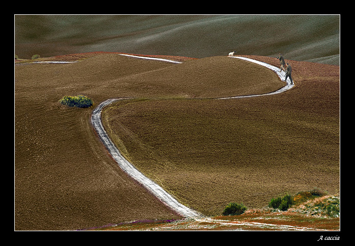 photo "A caccia" tags: landscape, mountains