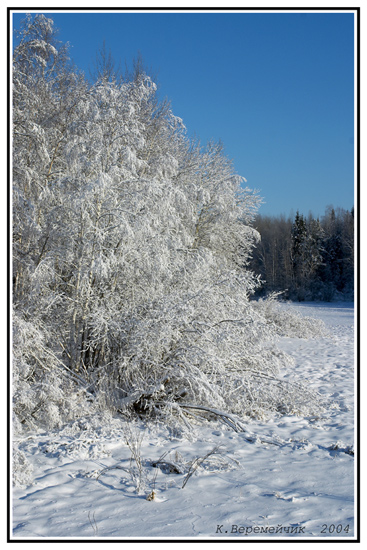 photo "Winter fairy tale" tags: landscape, winter