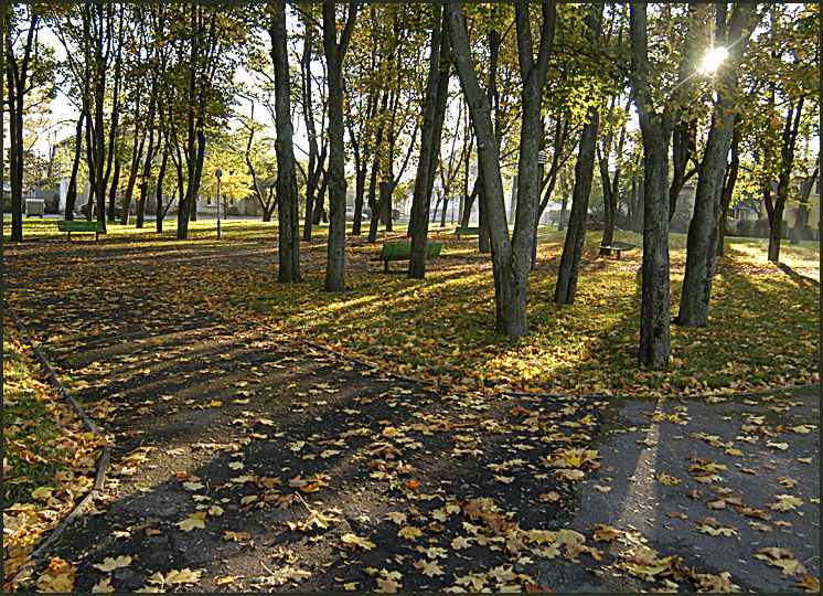 photo "The sun and autumn" tags: landscape, autumn