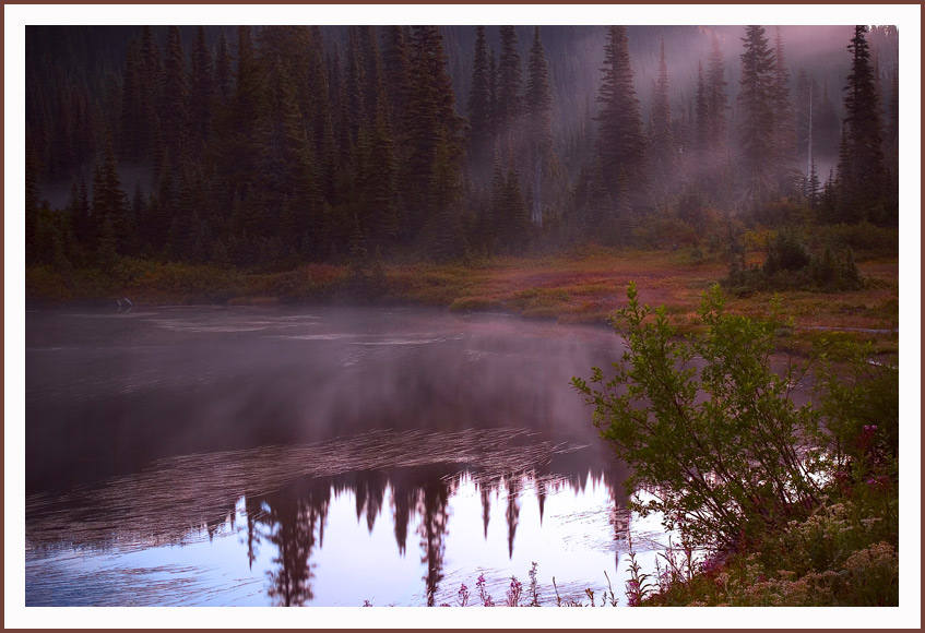 photo "J e s e n `04" tags: landscape, forest