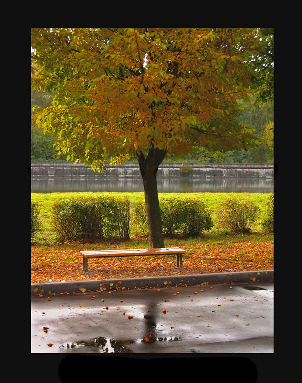 фото "Autumn. Lonely garden seat." метки: пейзаж, архитектура, осень