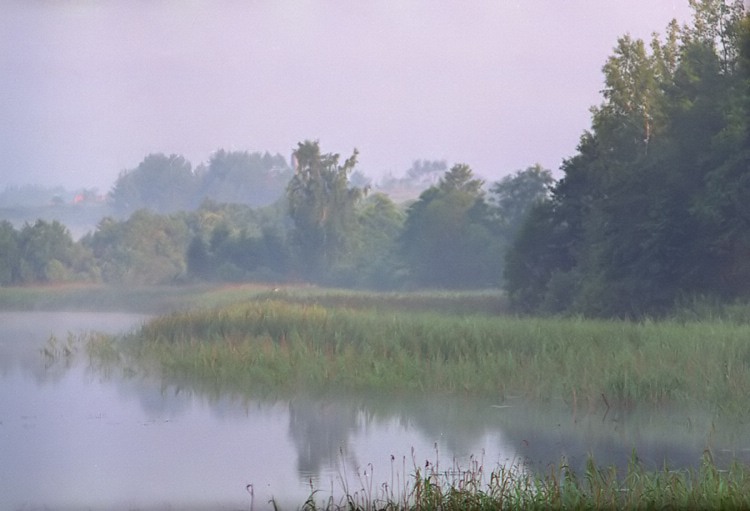 photo "Pink mist" tags: landscape, sunset